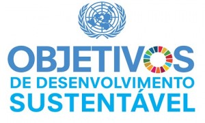 Grupo internacional destaca iniciativa da CNM voltada aos Objetivos de Desenvolvimento Sustentável