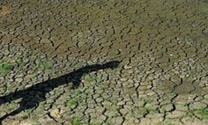 Seca: reconhecida situação de emergência em 38 Municípios de Alagoas