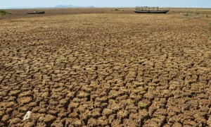 Seca: Municípios gaúchos que decretaram situação de emergência ainda não receberam ajuda