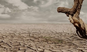 Decretada situação de emergência em 38 Municípios de Alagoas