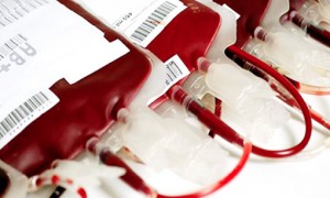 Febre amarela leva a novos critérios para doação de sangue