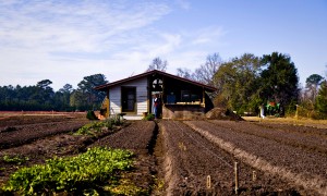 Santa Catarina passa a contar com Núcleo de Inovação Tecnológica para Agricultura Familiar