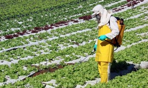 Câmara aprova regras para localização de depósitos de agrotóxicos