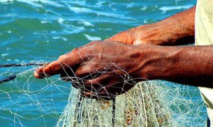 Decreto altera regras para seguro defeso e registro de pescador