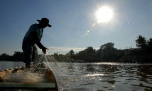 Pescadores artesanais terão novo sistema de cadastro até maio