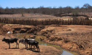 Reunião discute sobre o Atlas Mundial da Desertificação