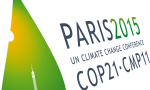 CNM lança infográfico com os principais resultados da COP21