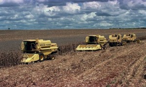 Máquinas agrícolas comercializadas no Brasil passam a ser menos poluentes