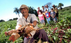 Câmara aprova MP sobre renegociação de dívidas de agricultores