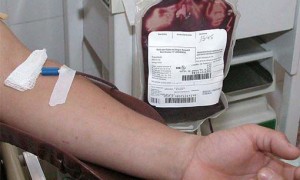 CNM incentiva ações que estimulam cultura de doação de sangue nos Municípios