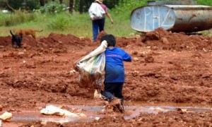 Prazo para inserir informações em programa de erradicação do trabalho infantil termina no sábado