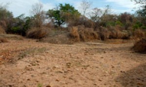 Presidente Dilma sanciona Lei que cria a Política Nacional de Combate à Desertificação