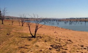 Mais sete Municípios cearenses têm Situação de Emergência reconhecida em função da seca; CNM alerta para situação