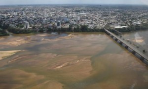 Lama tóxica chega à costa marítima do ES e diversas espécies, até terrestres, serão prejudicadas