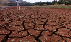 Municípios amazonenses são afetados por forte estiagem