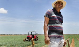 Agricultores devem receber Garantia-Safra referente a 2012-2013 e 2013-2014