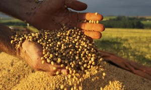 CNM acompanha debates do Conselho Nacional de Desenvolvimento Rural Sustentável