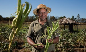 Garantia-Safra: 80.666 agricultores familiares receberão o recurso do Garantia Safra a partir de janeiro