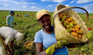 Conferência Nacional de Desenvolvimento Rural: CNM faz parte da organização