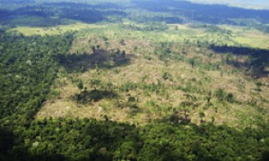 Inscrições para a 2.ª turma da Capacitação em Cadastro Ambiental Rural reabrem no dia 12 de agosto