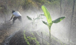 Municípios podem concorrer à edital sobre reúso agrícola de efluentes tratados no Semiárido