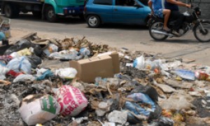 Ainda dá tempo de promover a etapa municipal da Conferência do Meio Ambiente no seu Município