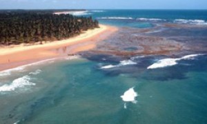 Municípios costeiros podem participar de consulta sobre preservação da biodiversidade