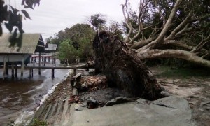 Defesa Civil reconhece situação de emergência de 15 Municípios por desastres naturais