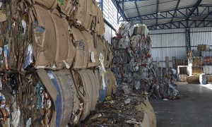 Edital seleciona cooperativa de catadores para coleta de resíduos recicláveis