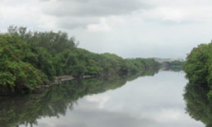 Em reunião do Fundo Nacional do Meio Ambiente, CNM vai pedir mais celeridade nas ações pelo setor