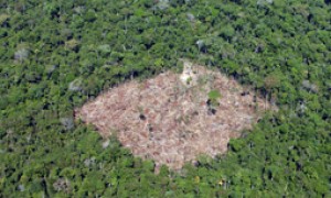 Programa de regularização do Código Florestal pode ser feito até 2014