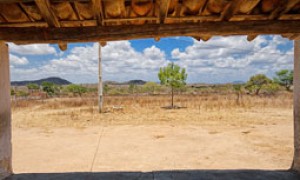 Dia Mundial de Combate à Desertificação: Município cearense se torna referência no enfrentamento à seca