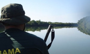 Mudança no regulamento do Ibama permite fiscalização domiciliar para caso de crime ambiental