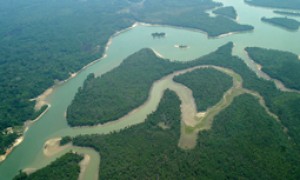 CNM critica desmembramento dos conselhos estaduais do Meio Ambiente