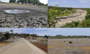 Durante o verão, estiagem já deixa 250 Municípios do Nordeste em emergência