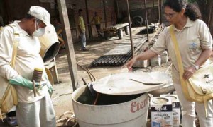 Guia orienta profissionais da saúde sobre chikungunya