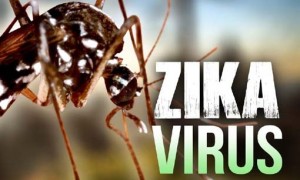 Nova síndrome congênita é descrita em crianças com zika segundo atualização da OPAS/OMS