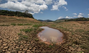 Aplicativo gratuito permite monitorar intensidade da seca no Nordeste