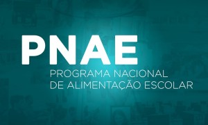 FNDE abre prazo de prestação de contas do Pnae