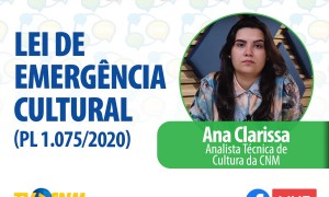 Área técnica de Cultura tira principais dúvidas do projeto de Lei Aldir Blanc em transmissão ao vivo