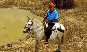 Seca leva ao reconhecimento da Situação de Emergência em mais de 250 Municípios