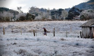 Frio provoca prejuízos de R$ 109 mi aos Municípios entre 2017 e 2021; confira o levantamento da CNM