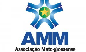 AMM orienta gestores sobre reflexos da Lei da Liberdade Econômica nos Municípios