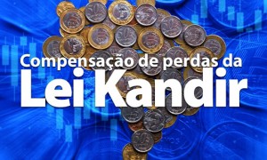 Lei Kandir: perguntas e respostas sobre a Lei 176/2020 estão disponíveis para acesso