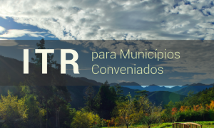 RFB publica lista oficial dos servidores aptos a iniciar o Curso de Formação do ITR 2022