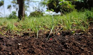 Após pedido da CNM, envio de laudo do Valor da Terra Nua é prorrogado