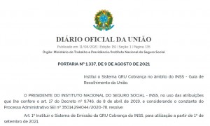 Reunião ordinária do CNPS trata de assuntos relacionados à criação do Ministério do Trabalho e Previdência e nova GRU