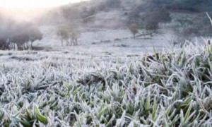 Nova onda de frio chega ao Brasil e Municípios devem se preparar