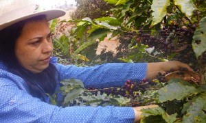 Campanha pelos direitos das mulheres rurais destaca atuação feminina para desenvolvimento sustentável