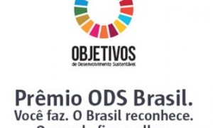 Abertas as inscrições para o Prêmio ODS Brasil